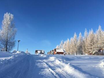 Фото номера Шале с двумя спальнями Курортные отели Czocha-Camping г. Лесьна 13